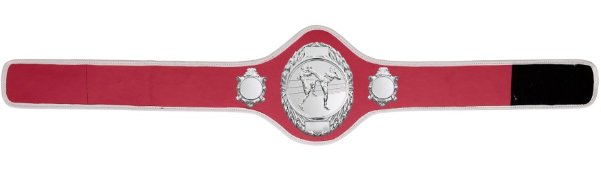 THAI BOXING CHAMPIONSHIP BELT-PRO286/S/TBOS-10+ COLOURS